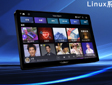 ���_(d��)Linuxһ�w�C����Щ���˲�Ŀ�ă�(y��u)��