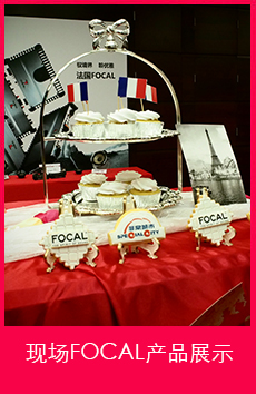 �F(xi��n)��FOCAL�a(ch��n)Ʒչʾ